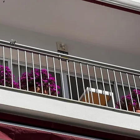 Centrico Con Terraza