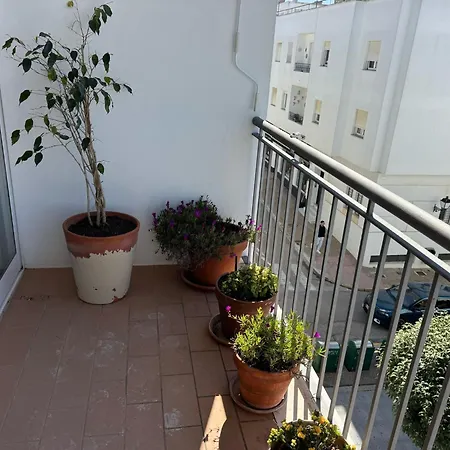 Céntrico Con Terraza