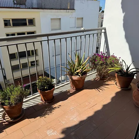 아파트 Centrico Con Terraza